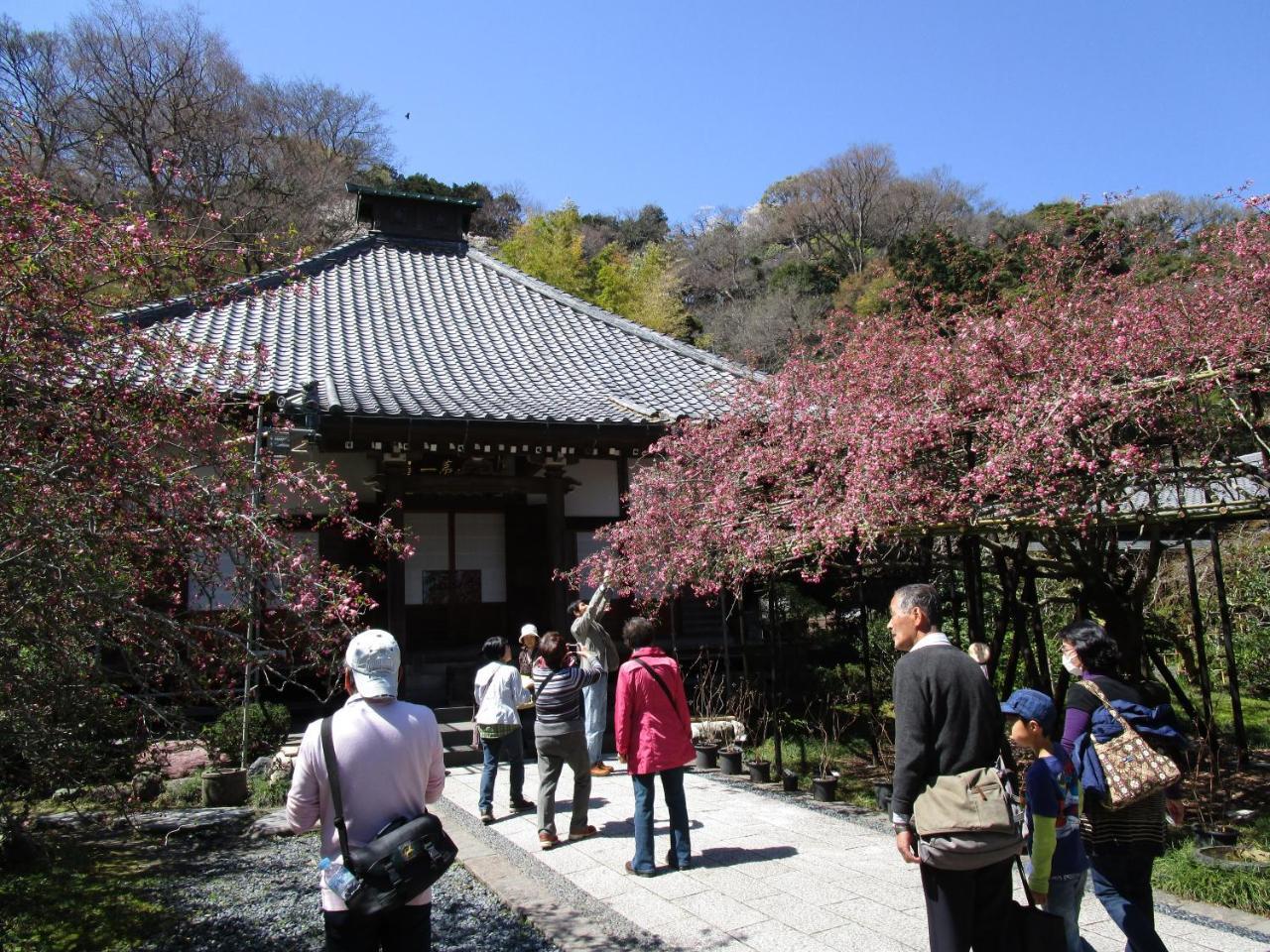 Kamakura Central Guest House מראה חיצוני תמונה